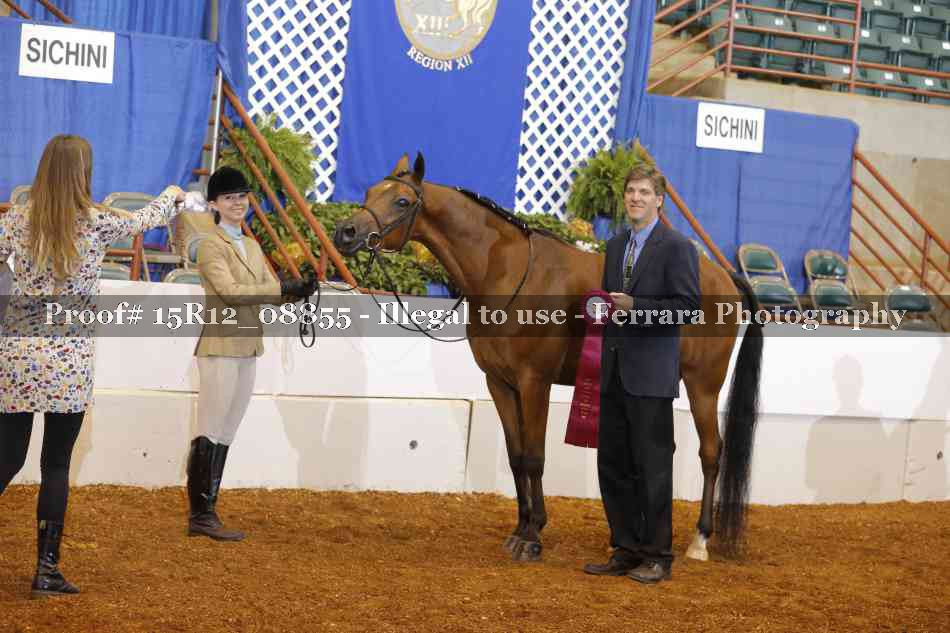 Proof Number 15R12_08855