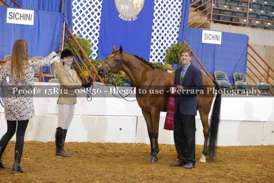 Proof Number 15R12_08856
