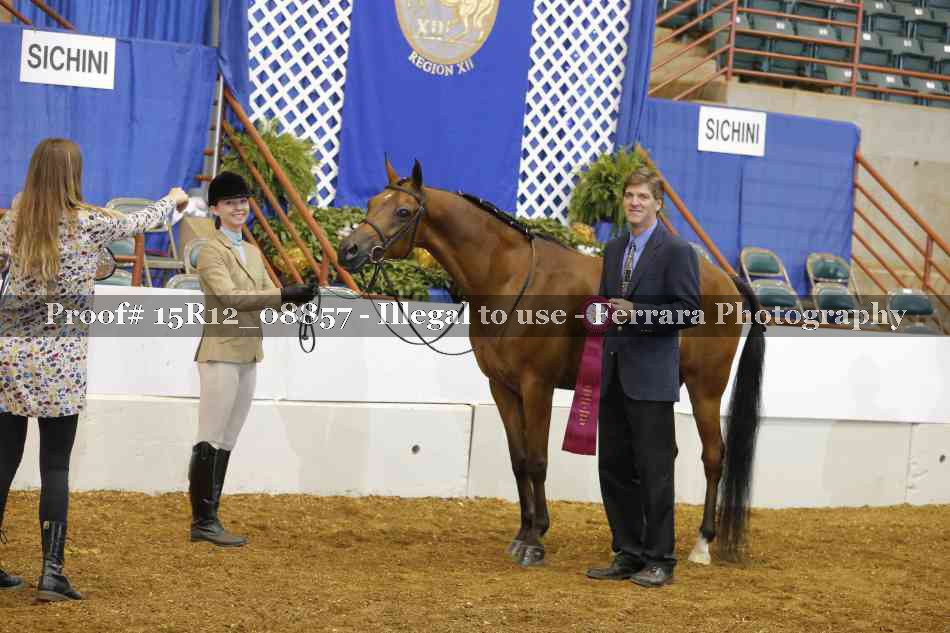 Proof Number 15R12_08857