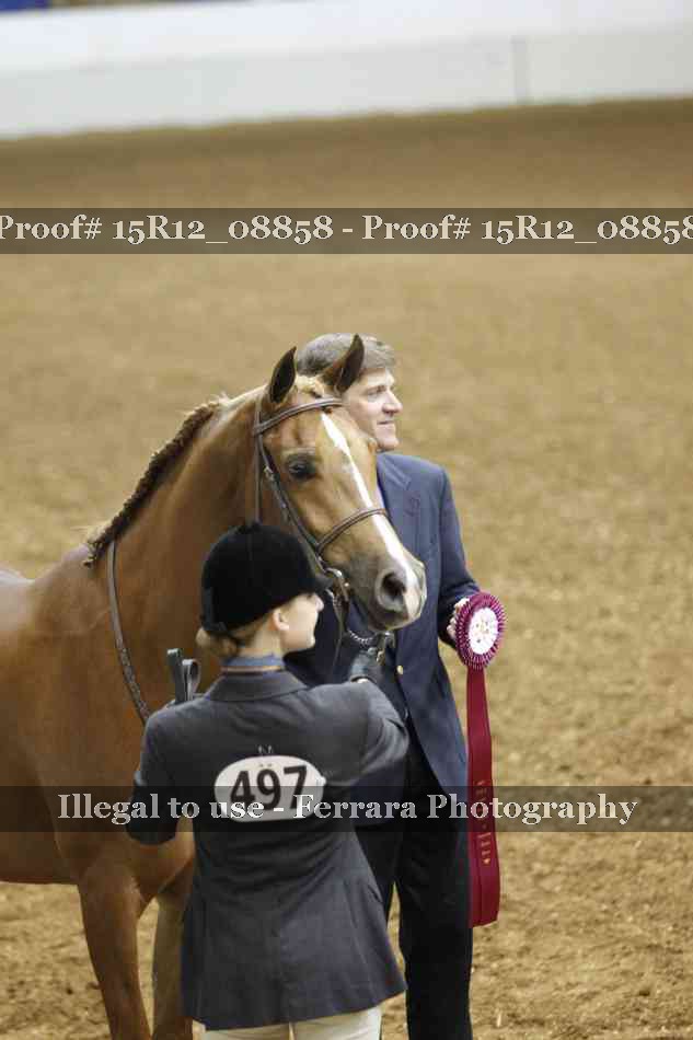 Proof Number 15R12_08858