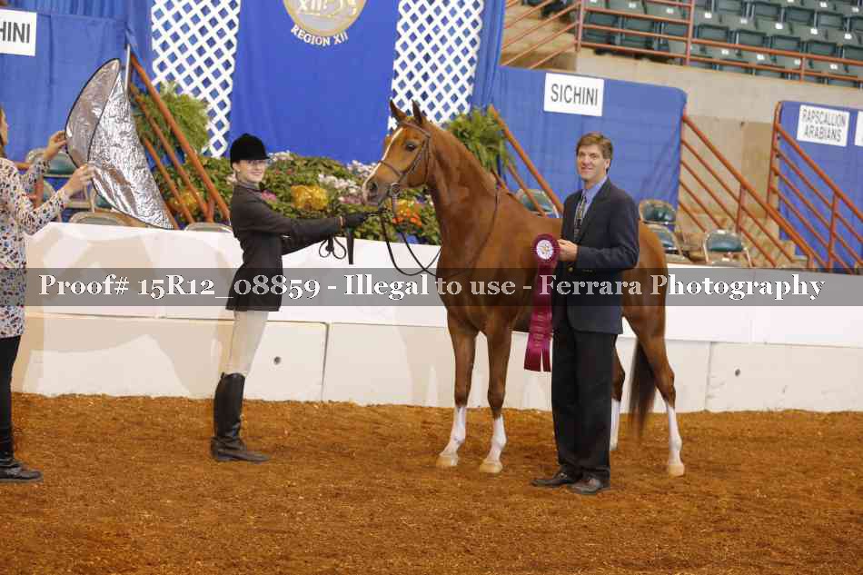 Proof Number 15R12_08859