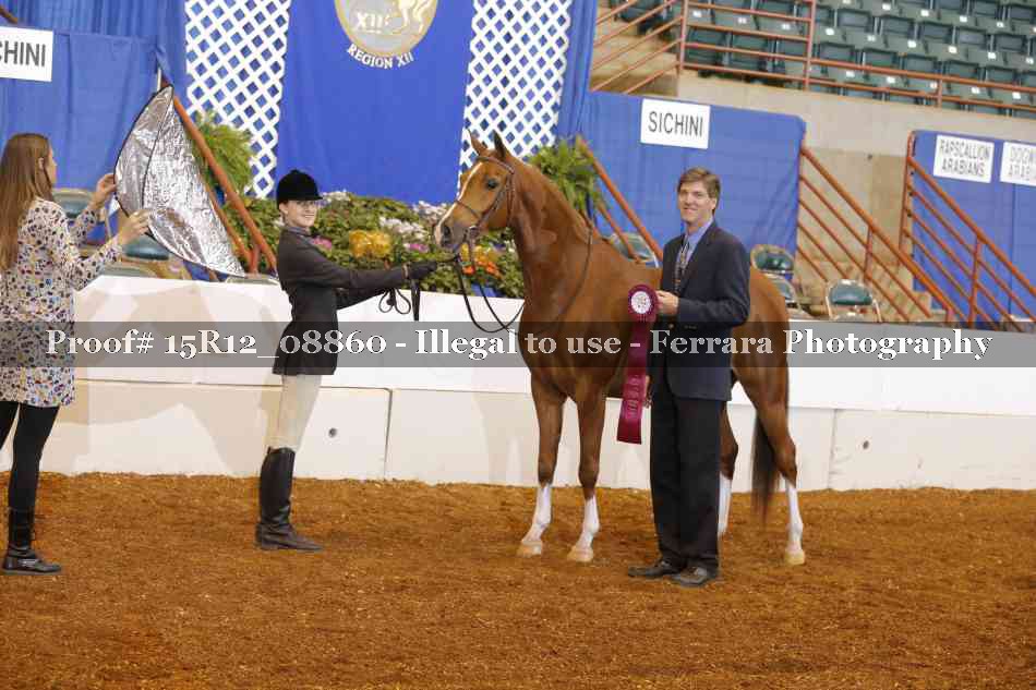 Proof Number 15R12_08860