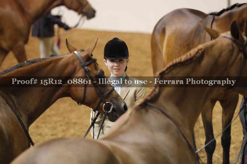 Proof Number 15R12_08861