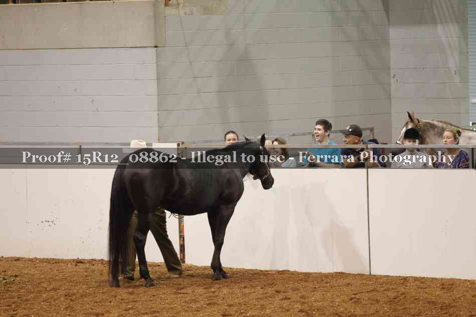 Proof Number 15R12_08862