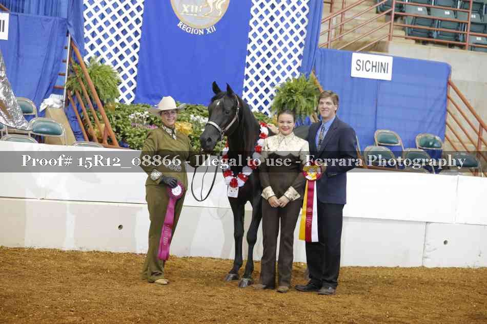 Proof Number 15R12_08866