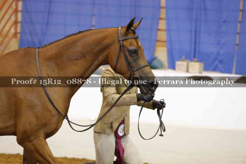 Proof Number 15R12_08878
