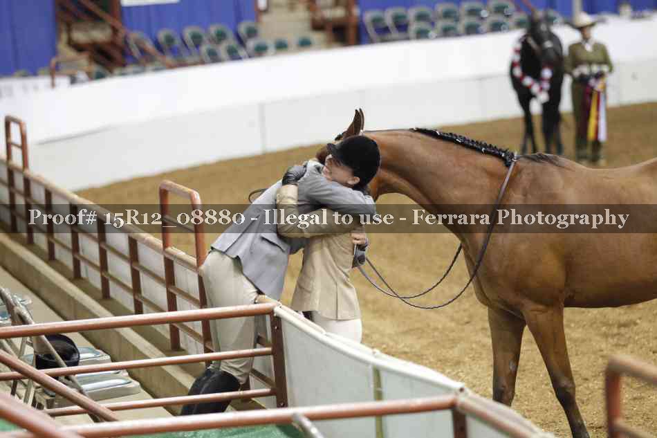 Proof Number 15R12_08880
