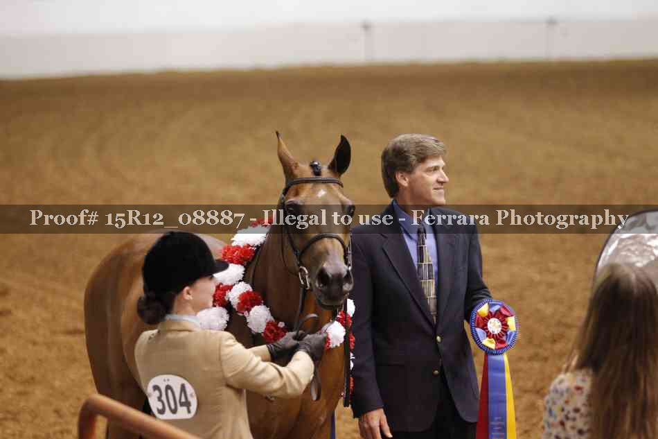 Proof Number 15R12_08887