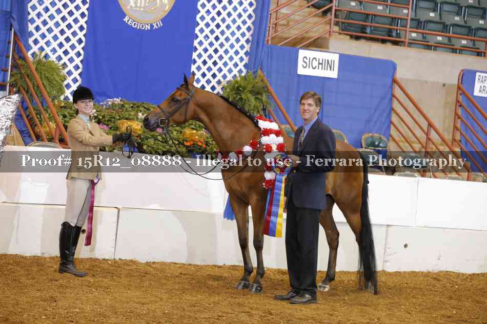 Proof Number 15R12_08888