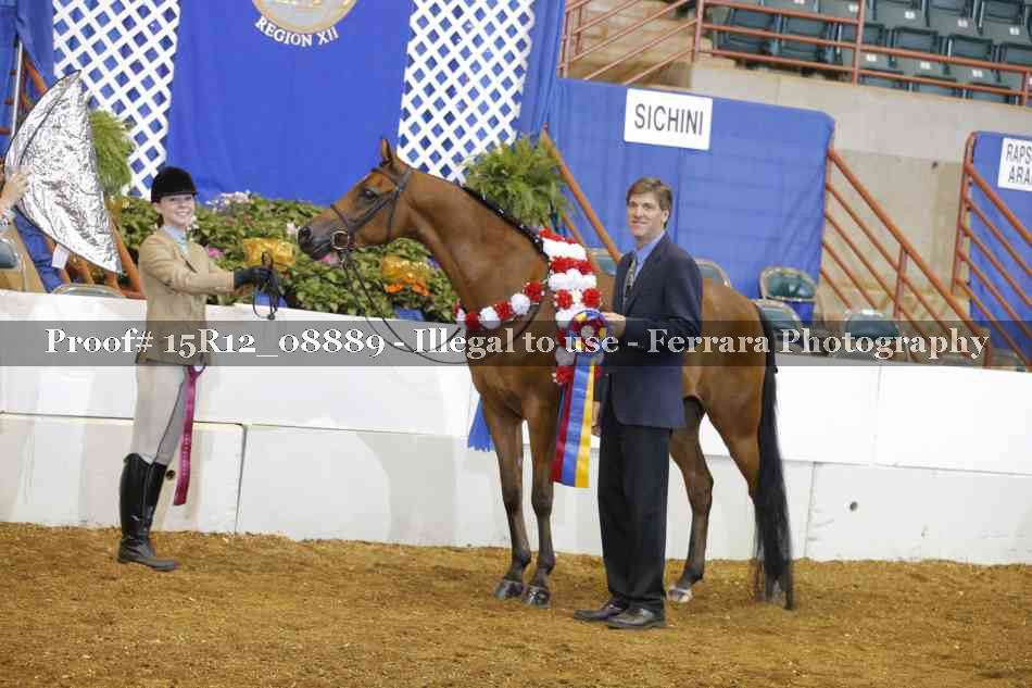 Proof Number 15R12_08889