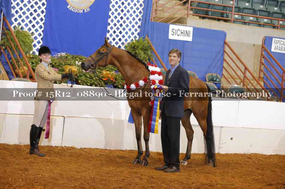 Proof Number 15R12_08890