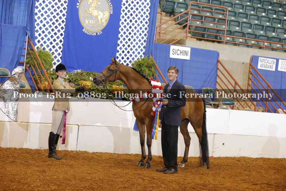 Proof Number 15R12_08892