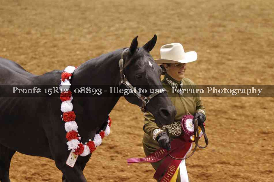 Proof Number 15R12_08893