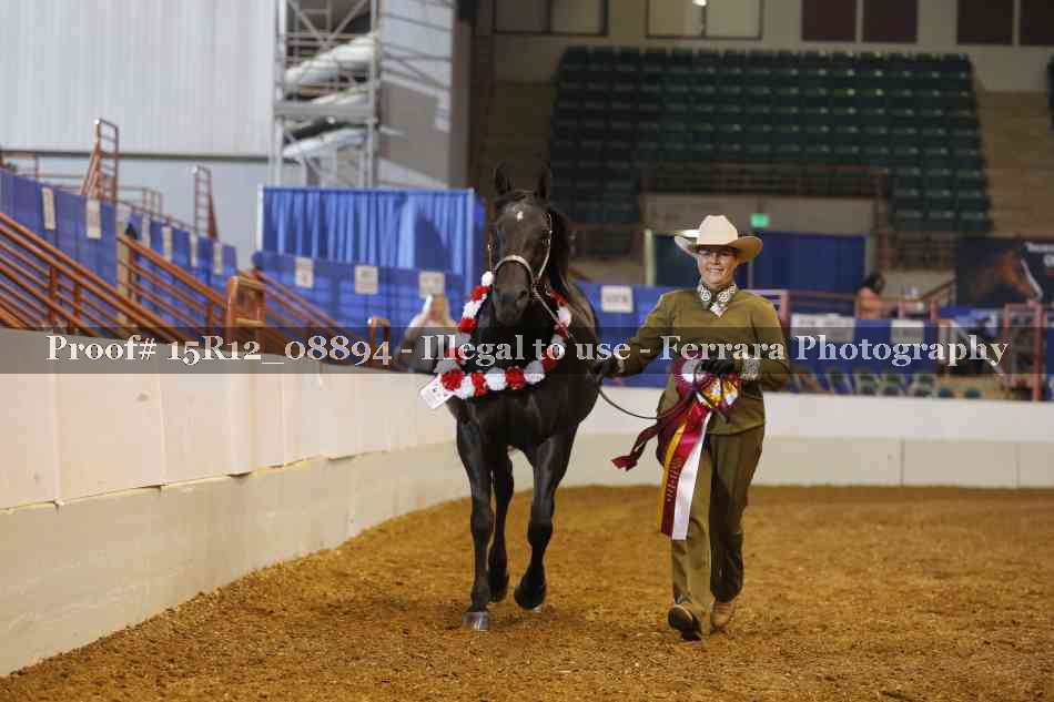 Proof Number 15R12_08894