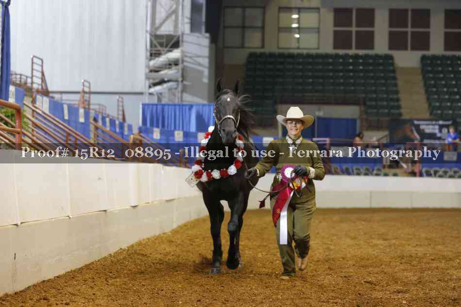 Proof Number 15R12_08895