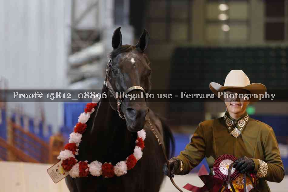 Proof Number 15R12_08896