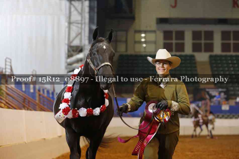 Proof Number 15R12_08897