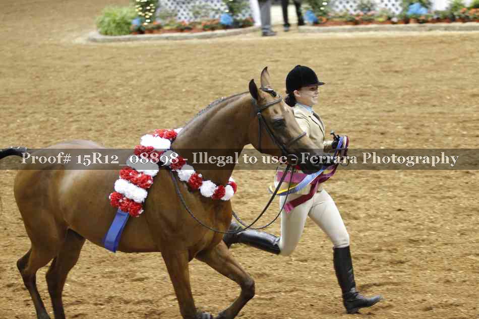 Proof Number 15R12_08898