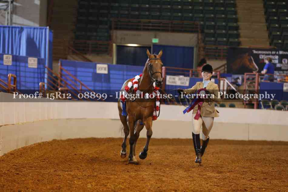 Proof Number 15R12_08899