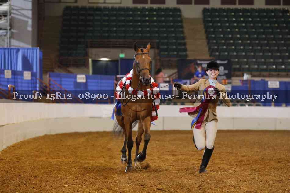 Proof Number 15R12_08900