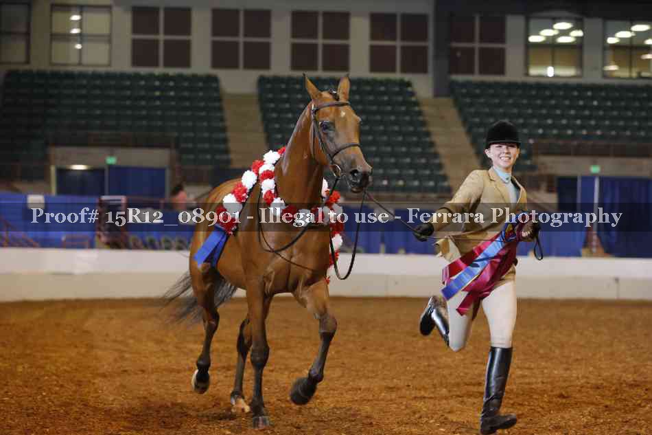 Proof Number 15R12_08901