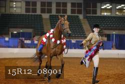 15R12_08901 thumbnail
