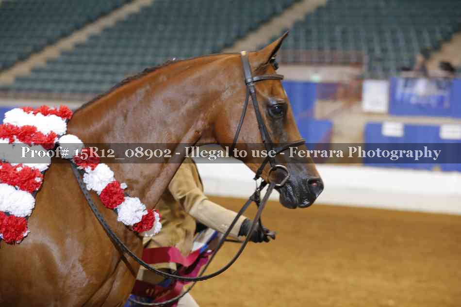 Proof Number 15R12_08902