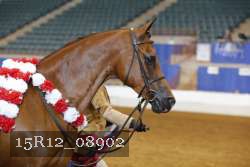 15R12_08902 thumbnail