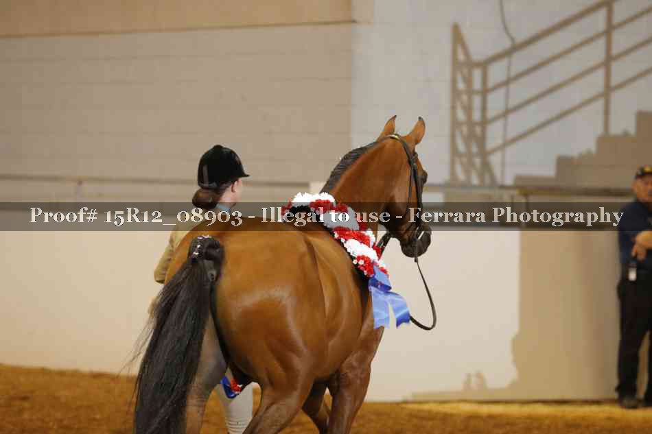 Proof Number 15R12_08903