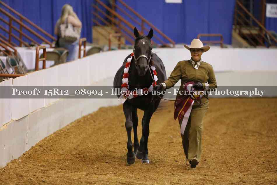 Proof Number 15R12_08904