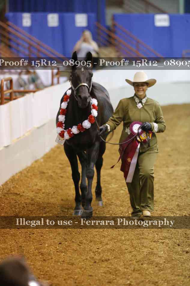 Proof Number 15R12_08905