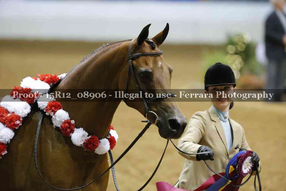 Proof Number 15R12_08906