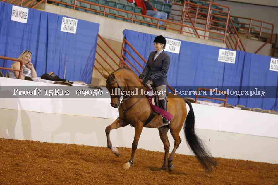 Proof Number 15R12_09056