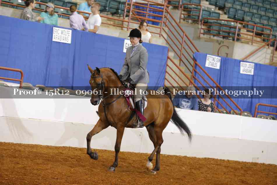Proof Number 15R12_09061
