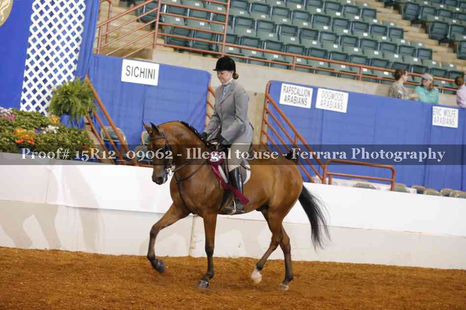 Proof Number 15R12_09062