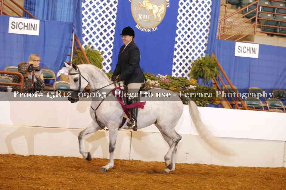 Proof Number 15R12_09065