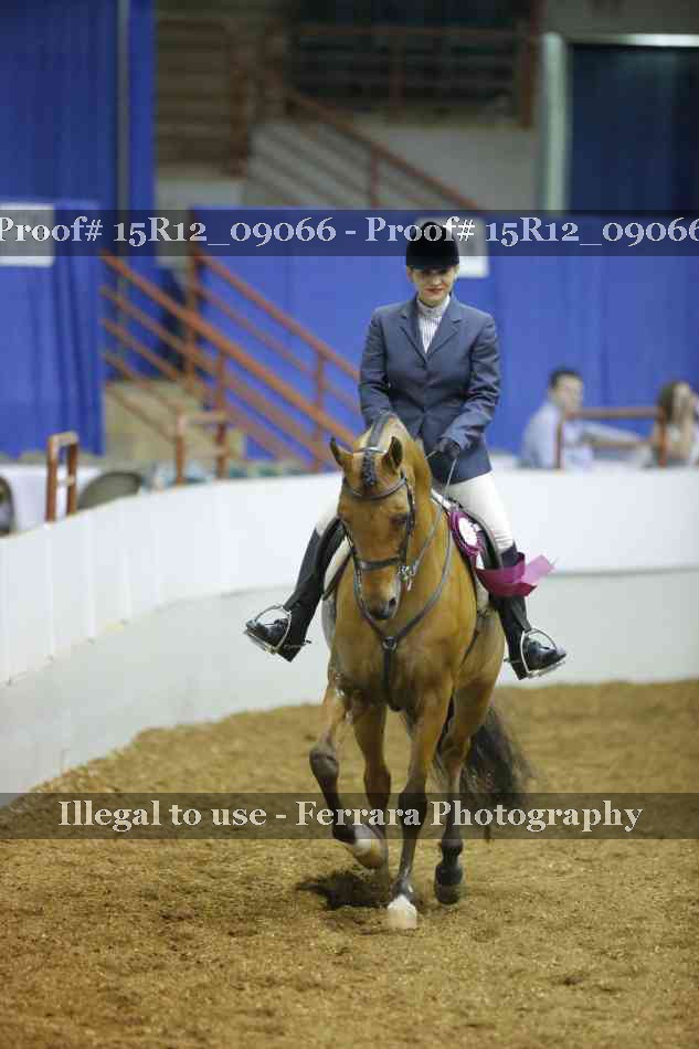 Proof Number 15R12_09066