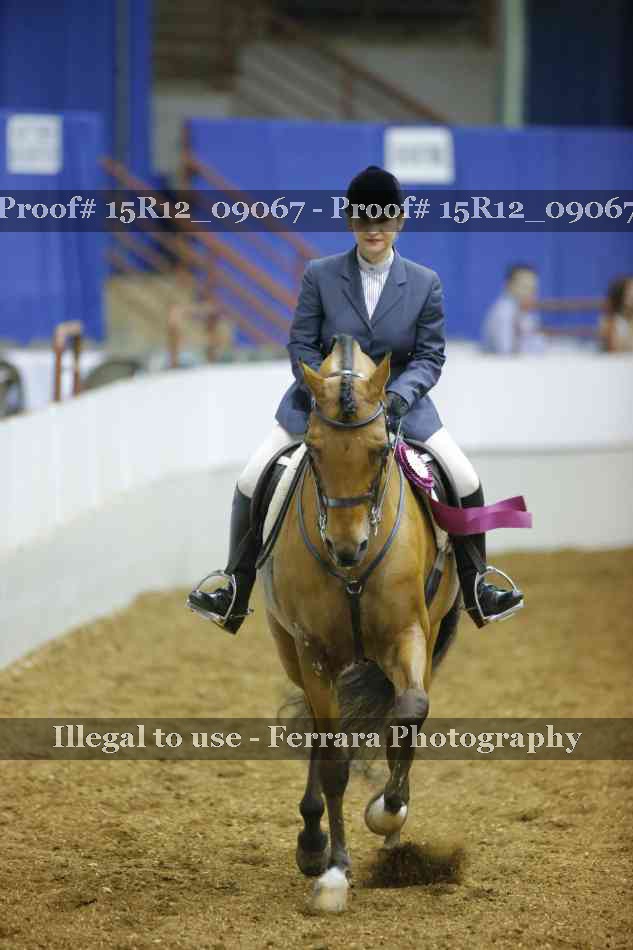Proof Number 15R12_09067