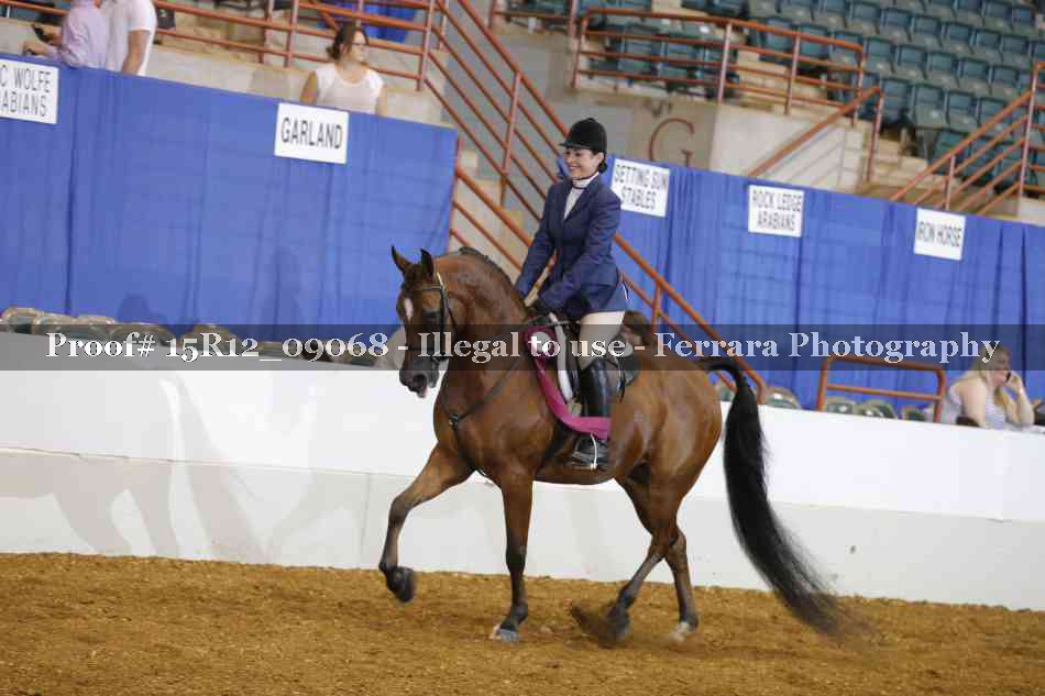 Proof Number 15R12_09068