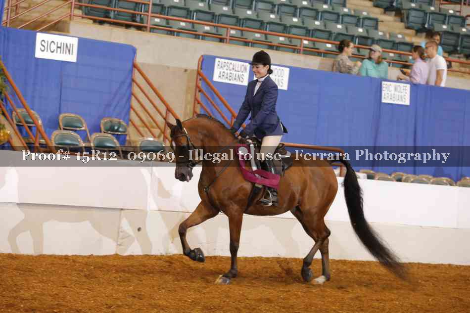 Proof Number 15R12_09069