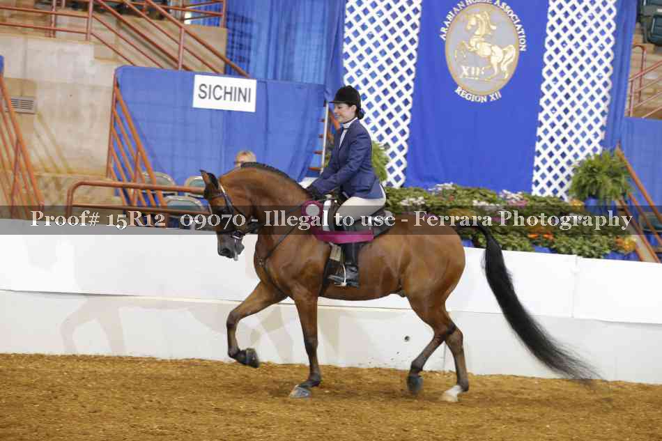 Proof Number 15R12_09070