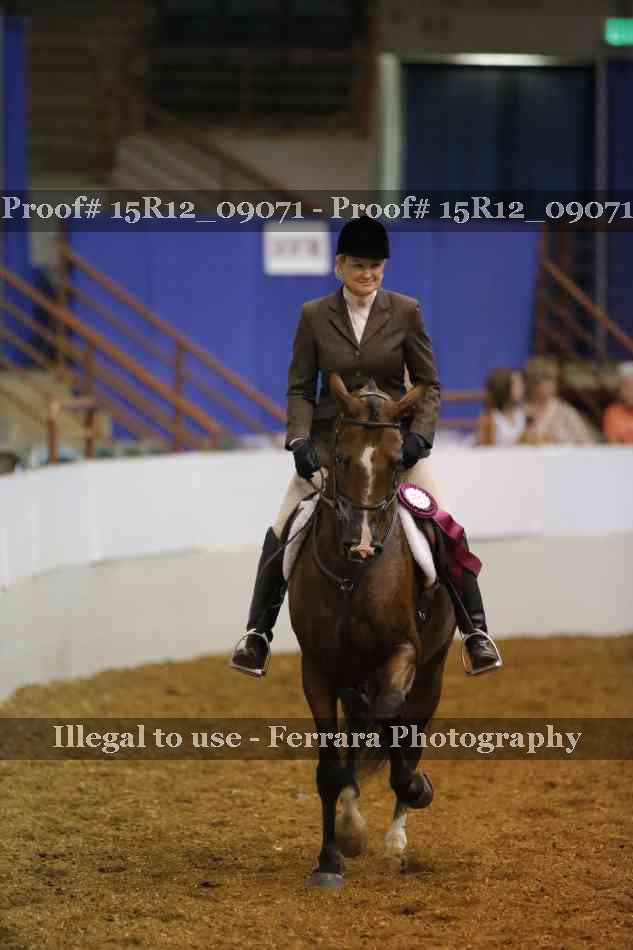 Proof Number 15R12_09071