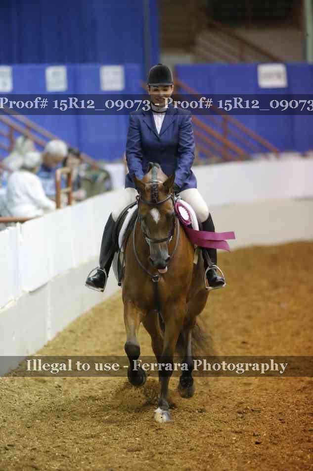 Proof Number 15R12_09073