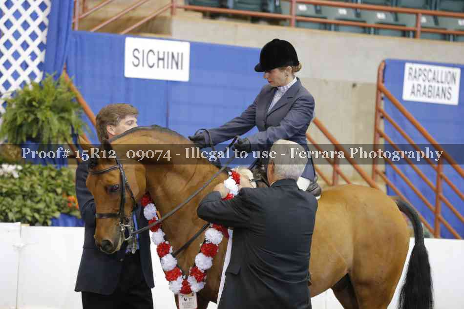 Proof Number 15R12_09074