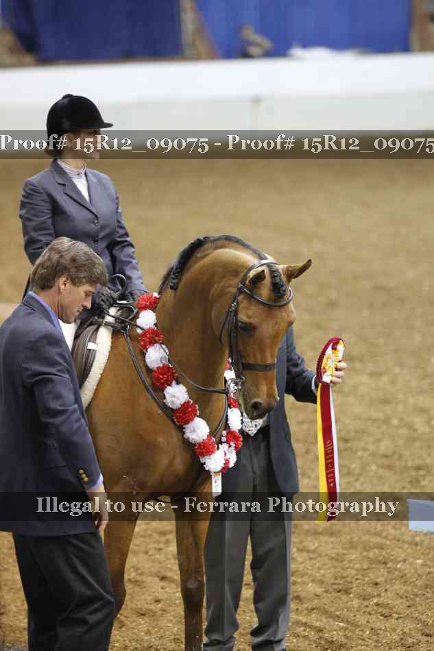 Proof Number 15R12_09075