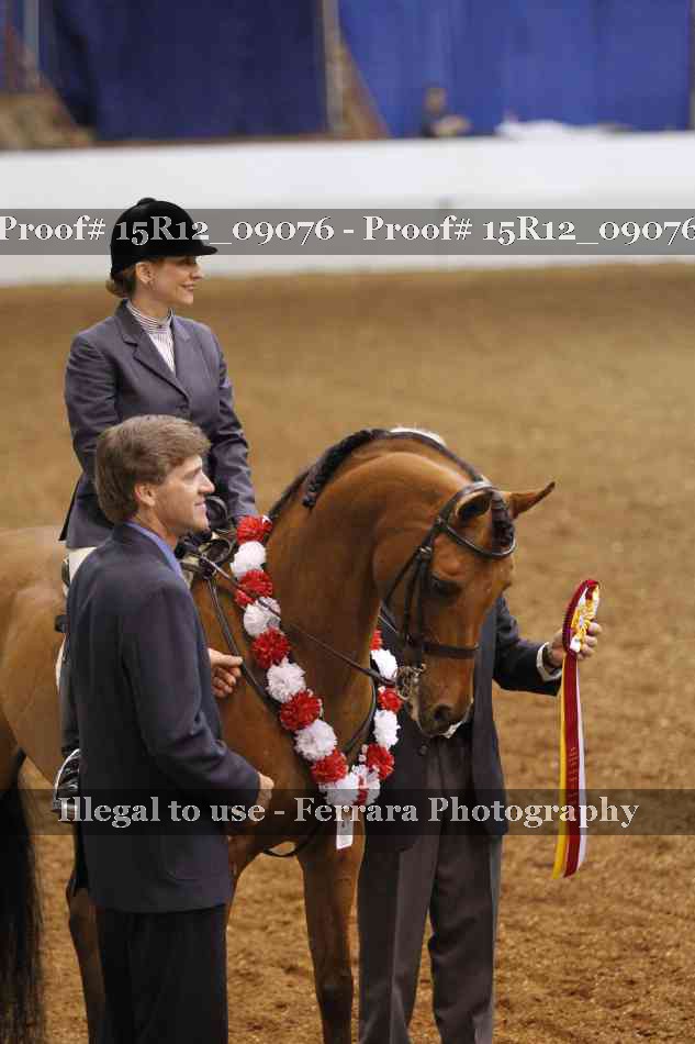 Proof Number 15R12_09076