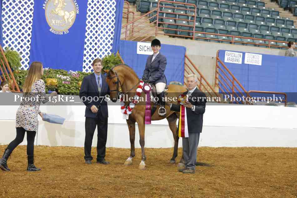 Proof Number 15R12_09078