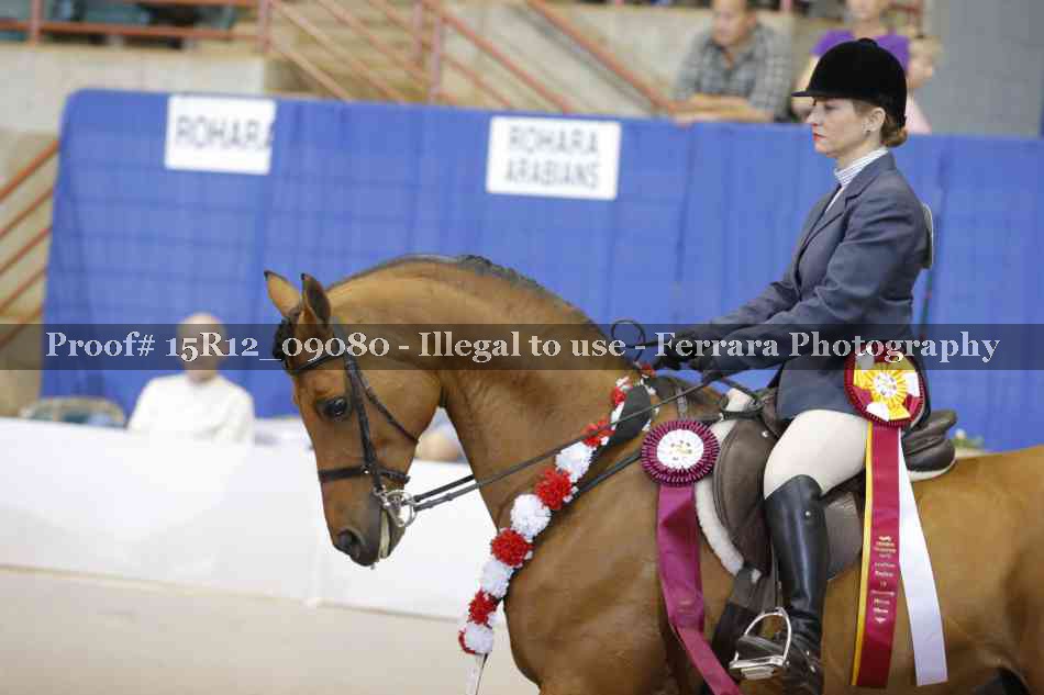 Proof Number 15R12_09080