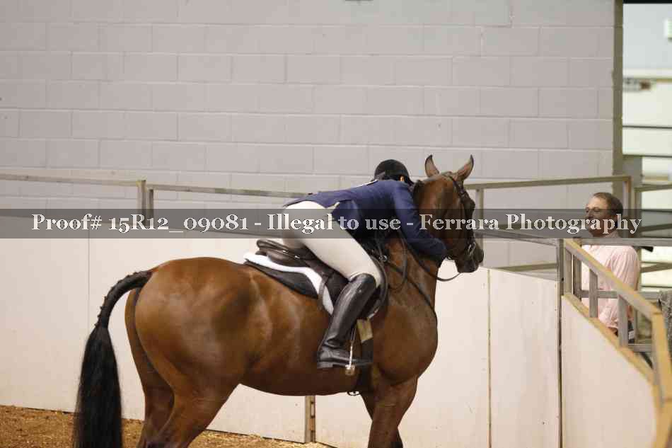 Proof Number 15R12_09081