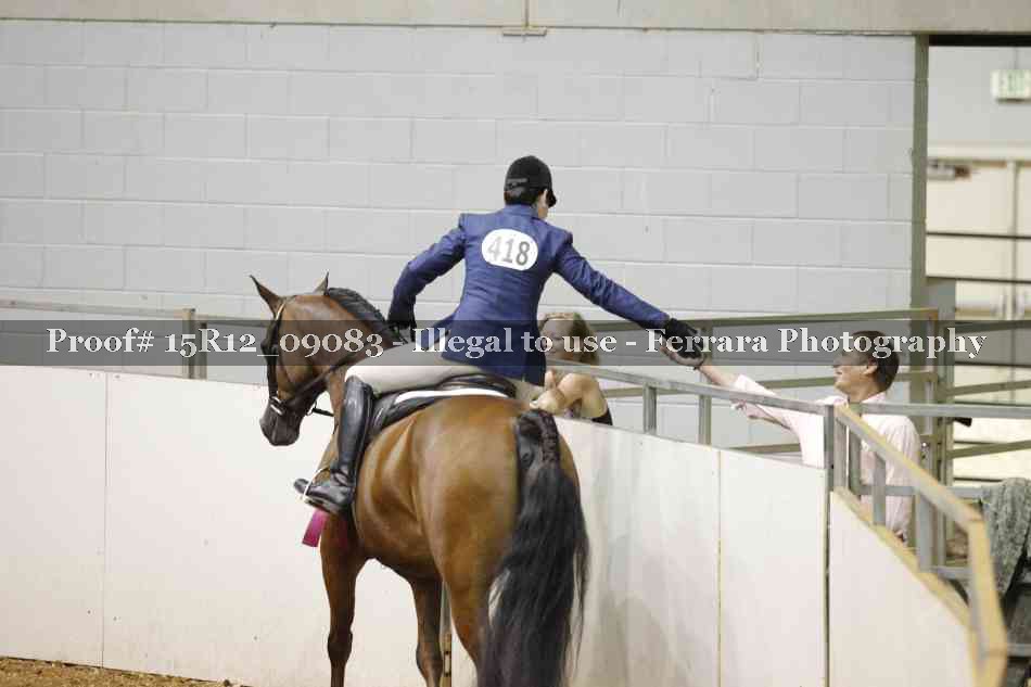 Proof Number 15R12_09083